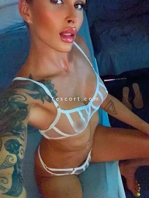 Trans Cloe portfolio