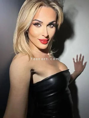 Trans Cloe portfolio