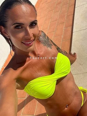 Trans Cloe portfolio