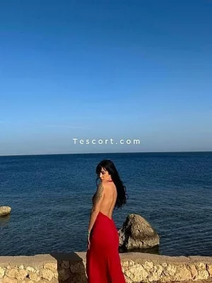 AliciaAli portfolio