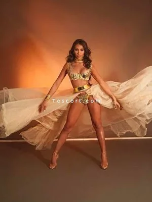 Katisha lee portfolio