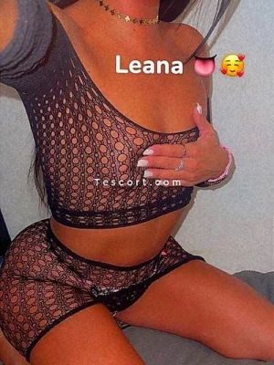 LeanaLille portfolio